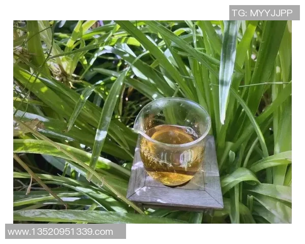 足球明星华丽转身展现魅力正装风采引领时尚潮流