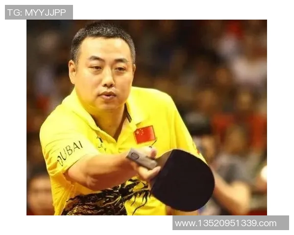 武汉乒乓球队荣登全国战术排行榜第六位引发热议